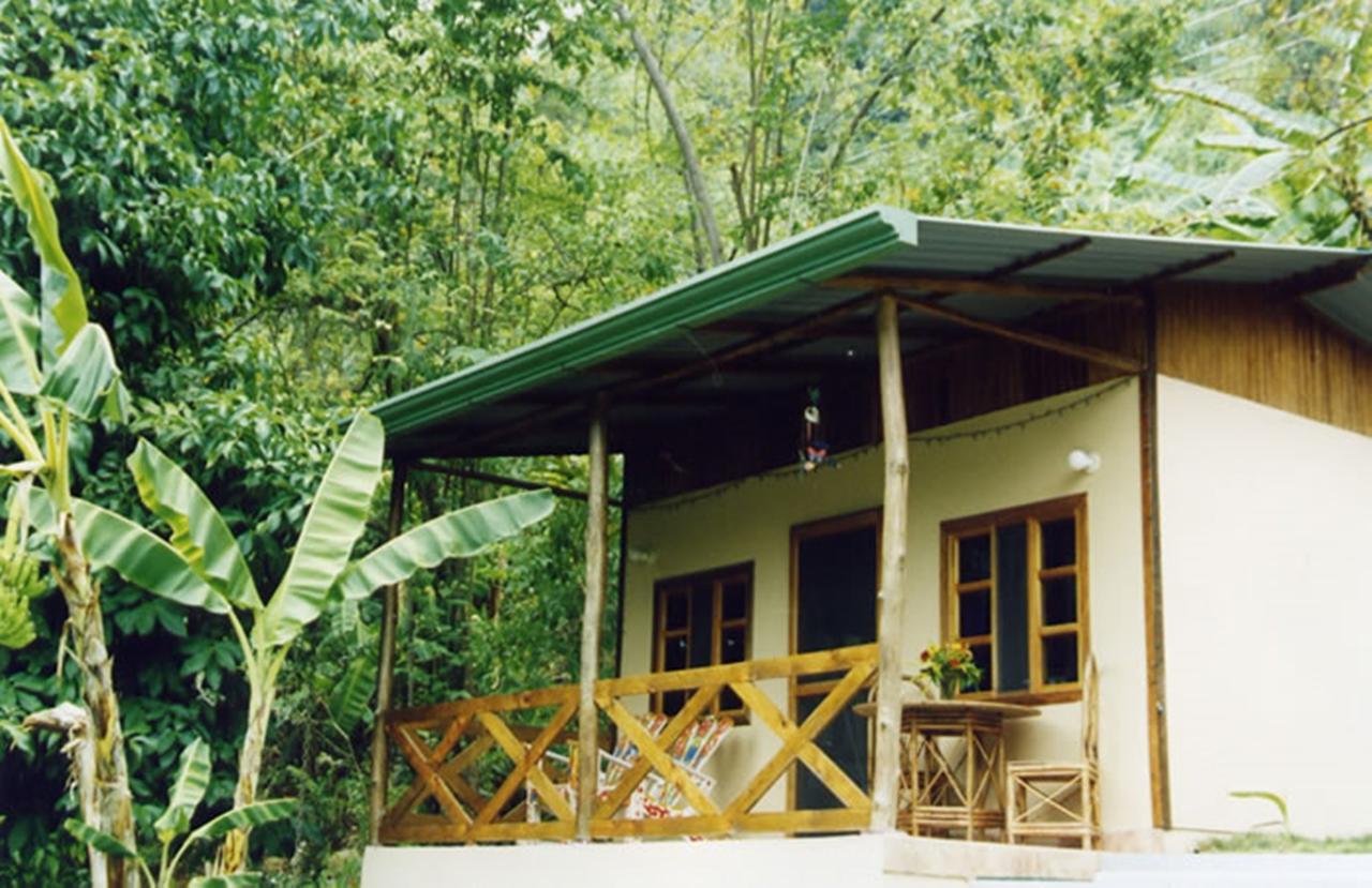 Coconut Grove Oceanfront Cottages 도미니칼 외부 사진
